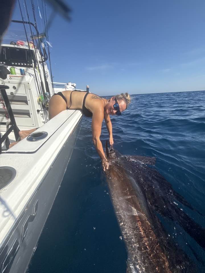 Rachel - Sailfish