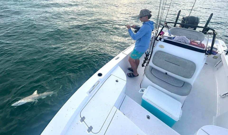 Shark catch and release Trip